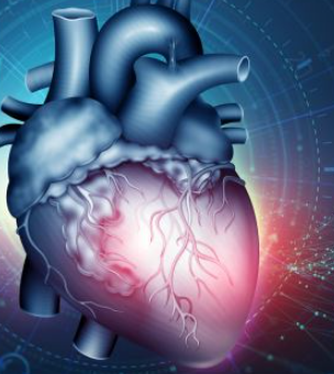 Curso Online de Atención Farmacéutica en Salud Cardiovascular