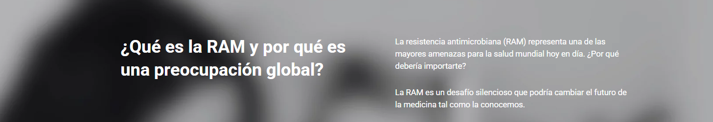 Banner Web infection in Focus- Qué es la RAM-