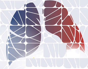 Curso de Formación: Casos Clínicos en Asma