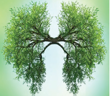 Guía de tratamiento inhalado en Asma y EPOC