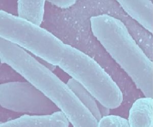 Coloquio entre expertos: PAST, PRESENT AND FUTURE OF LGG