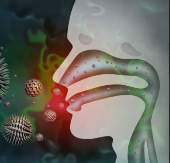 L. rhamnosus GG – GEA EN NIÑOS