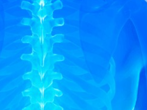 Talleres especializados en artroscopia en diversas áreas anatómicas